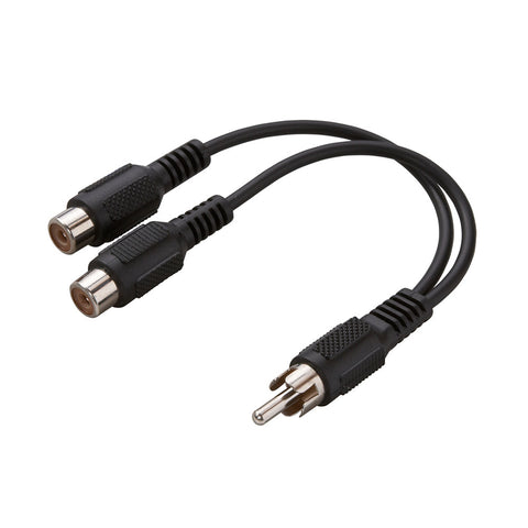 RCAM to RCA-Y Cable, 3" | AY1003RCAMF